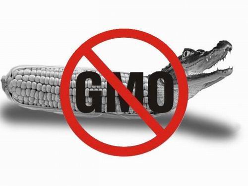 Всё о продуктах с ГМО
