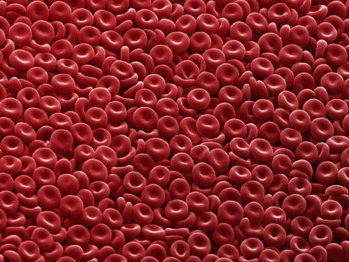 Группа крови - зеркало человека