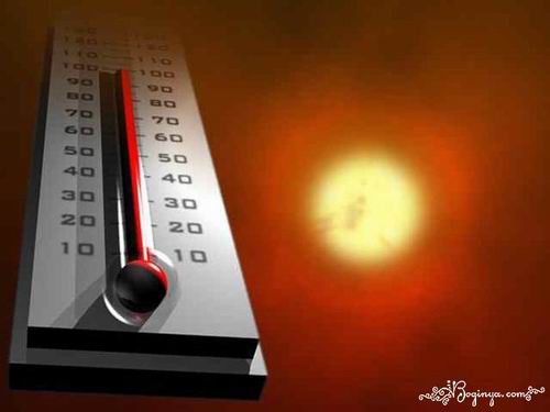10 фактов о жаре