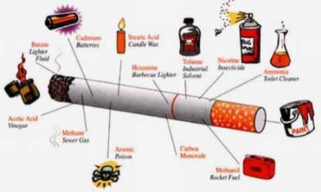 Что содержится в сигаретах