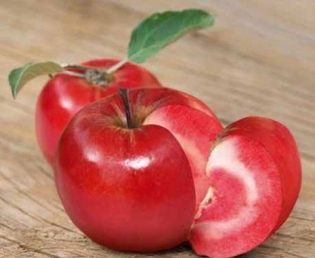Яблоко - помидор: секреты скрещивания