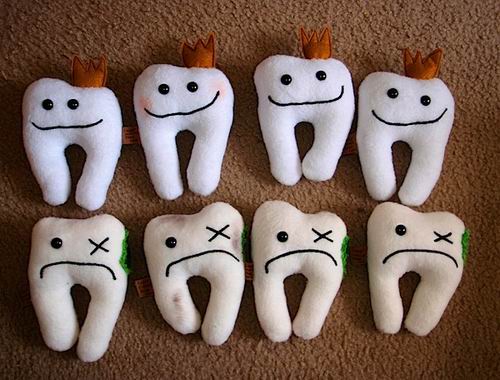 15 фактов о зубах