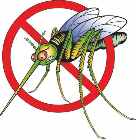 Народные средства борьбы с комарами - учимся у предков
