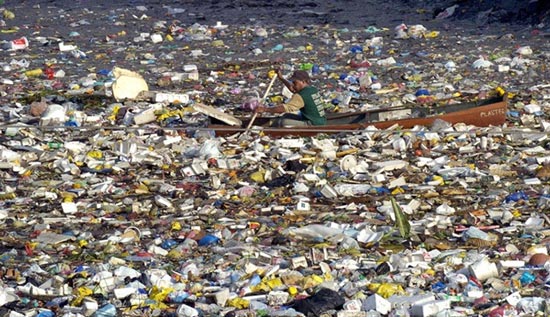 В Тихом океане есть «Великий мусорный остров», площадь которого — более 1 млн. кв. км