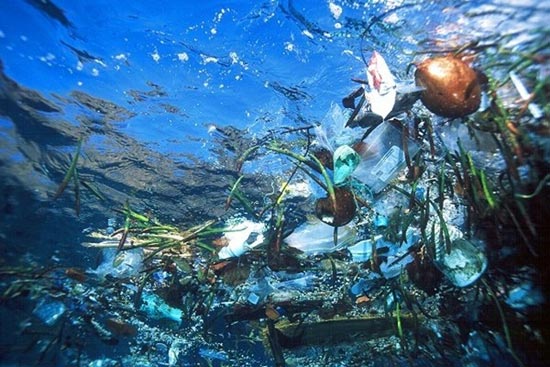 В Тихом океане есть «Великий мусорный остров», площадь которого — более 1 млн. кв. км