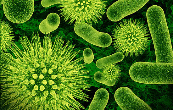 Человек на 90% состоит из микробов. Только в кишечнике содержится почти 2 кг бактерий