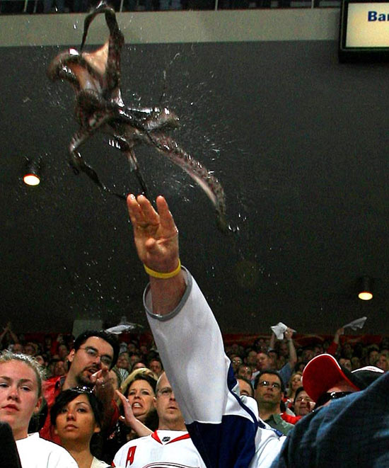 В Детройте есть традиция во время хоккейного матча бросать на лёд осьминогов