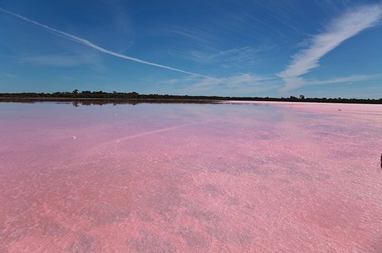В Австралии есть розовое озеро