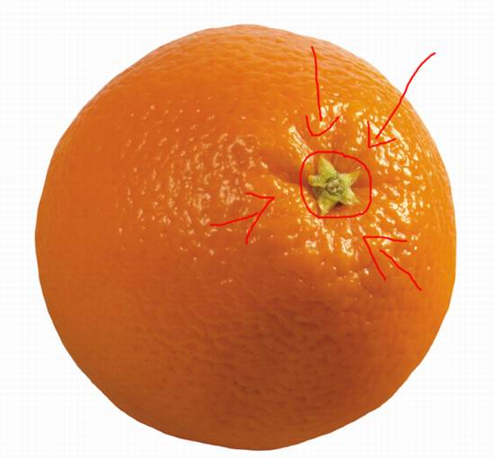 Как наспор узнать сколько долек в апельсине?