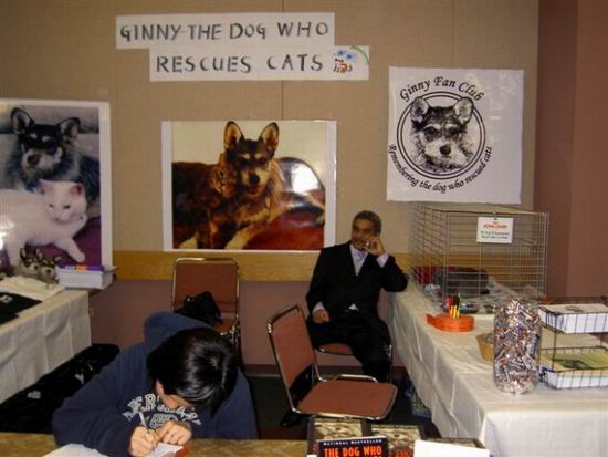 Джинни — собака, спасающая кошек (Ginny)