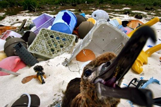 Ложь о мусорном пятне в Тихом океане