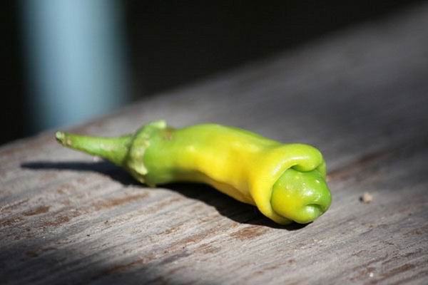 14 странных овощей, которые не заслужили внимание фермеров