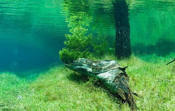 Необычное зеленое озеро