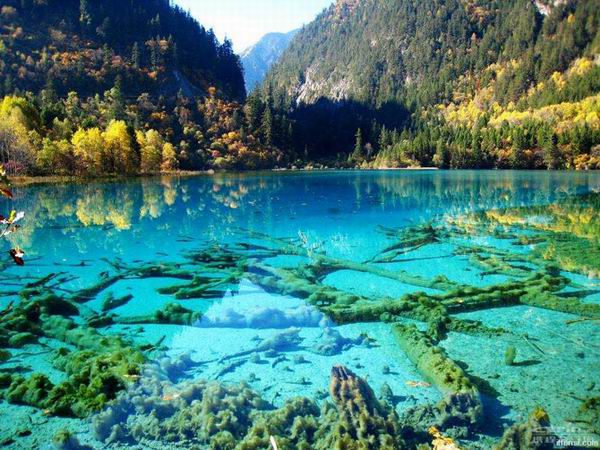 5 озер удивительных цветов