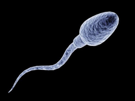 6 способов неожиданного применения человеческой спермы