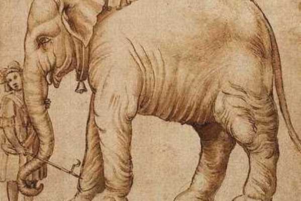 10 самых известных слонов и их смерть