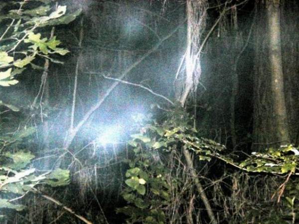 10 загадочных лесов c привидениями