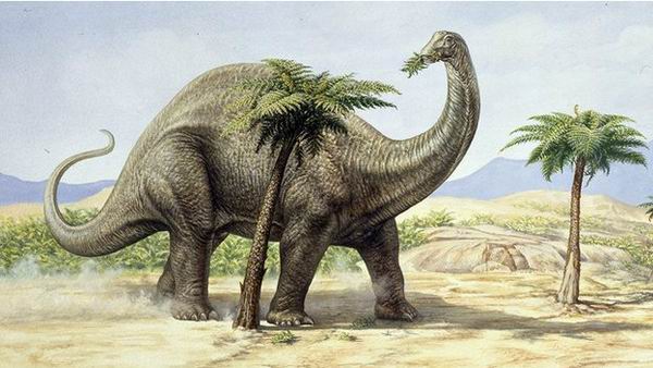 Бронтозавры не вымерли, их не существовало вообще