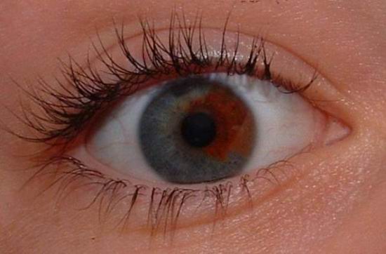 Люди с карими глазами более надежные, и другие факты о цвете глаз