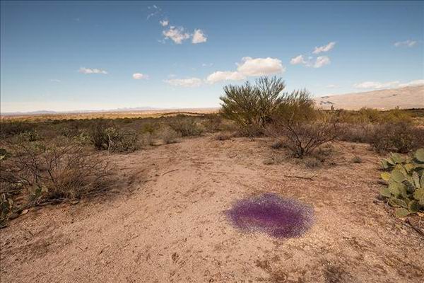 В аризонской пустыне обнаружены загадочные фиолетовые сферы