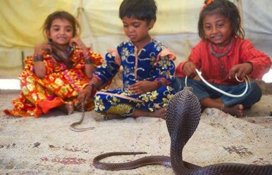 Дети племени Вади приручают ядовитых змей с двухлетнего возраста