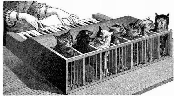 Кто играл на кошачьем клавесине