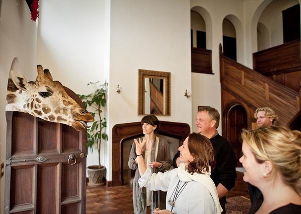 Единственный в мире отель, где можно пригласить на завтрак жирафа