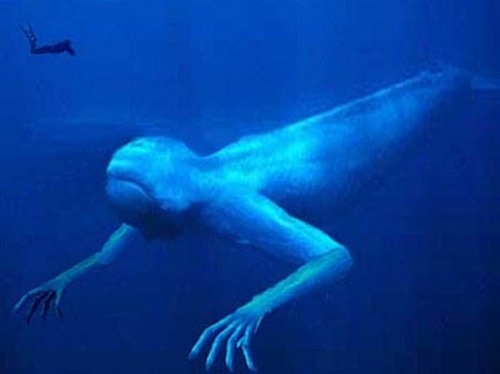 Японские исследователи обнаружили в Антарктике загадочного гигантского гуманоида