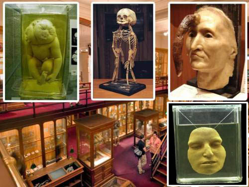 10 ужасающих музеев мира