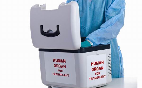 Продай почку, купи новый iPad!: 15 ужасных фактов о трансплантации органов