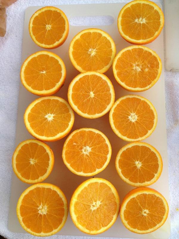 20 интересных фактов об апельсинах