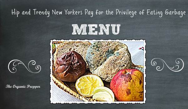 Гламурный нью-йоркский ресторан предлагает еду из помойки